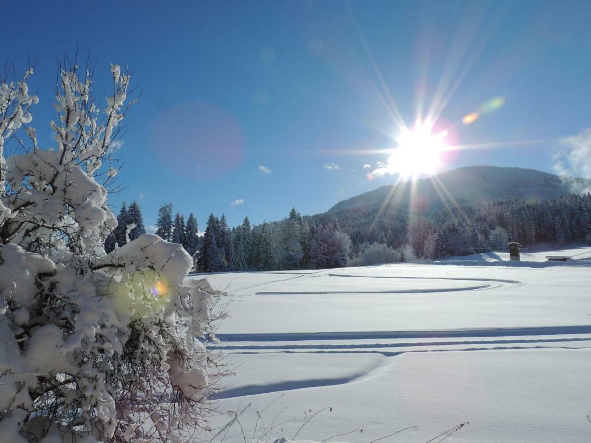Aubauer Villa Bischofshofen Bagian luar foto