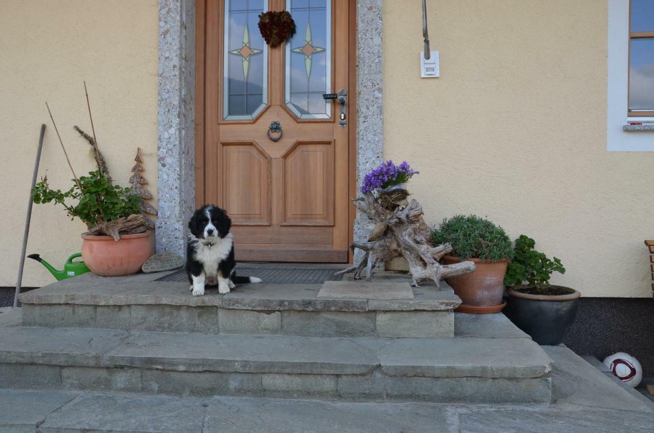 Aubauer Villa Bischofshofen Bagian luar foto