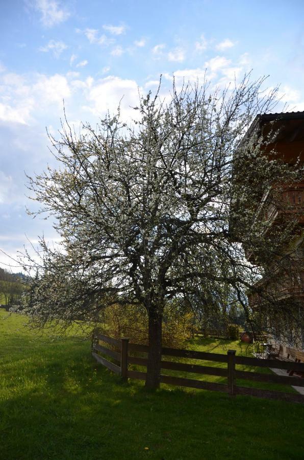 Aubauer Villa Bischofshofen Bagian luar foto