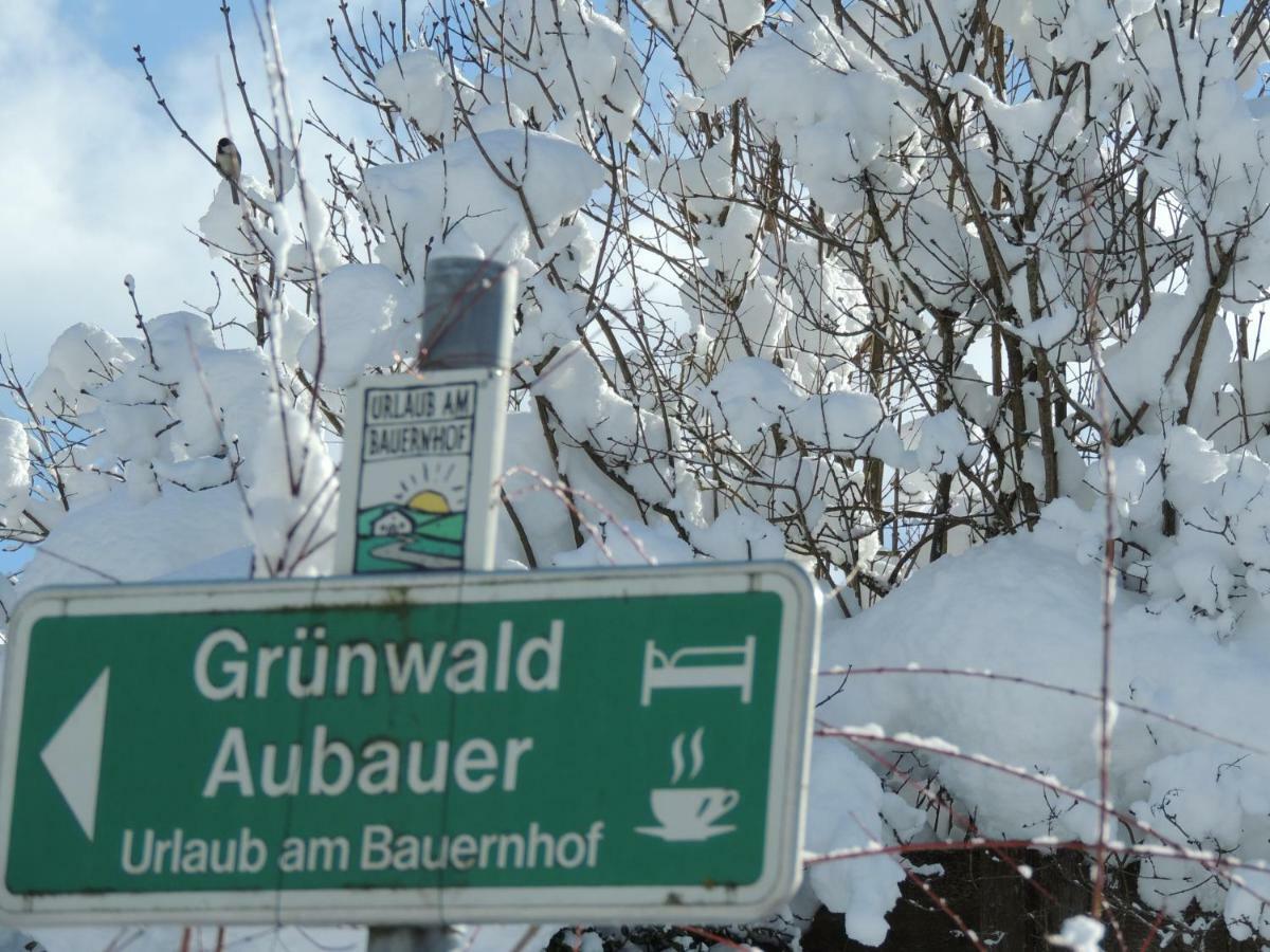 Aubauer Villa Bischofshofen Bagian luar foto