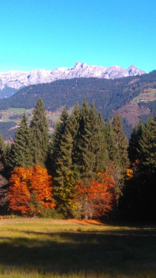 Aubauer Villa Bischofshofen Bagian luar foto