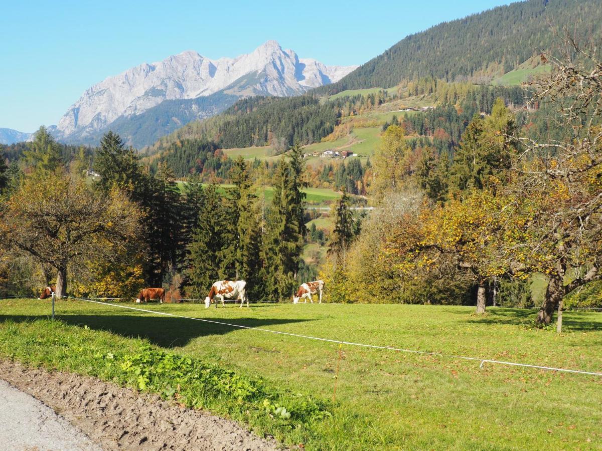 Aubauer Villa Bischofshofen Bagian luar foto